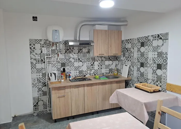 Vila Ovidiu Băile Herculane